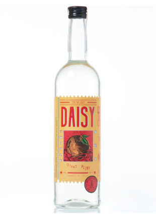 pony and jigger daisy 310x432px